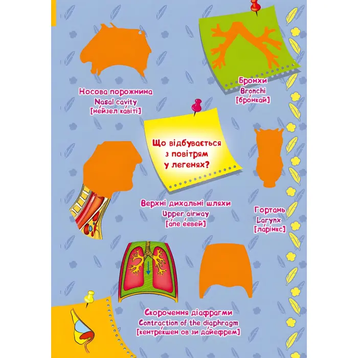 Велика книжка. Розвивальні наліпки. Розумнi завдання.Тіло людини