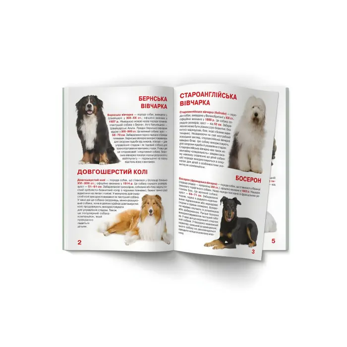 Велика книжка. Службові собаки (9789669361158)