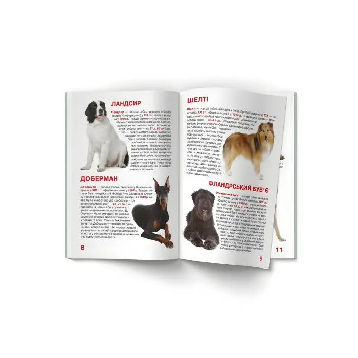 Велика книжка. Службові собаки (9789669361158)