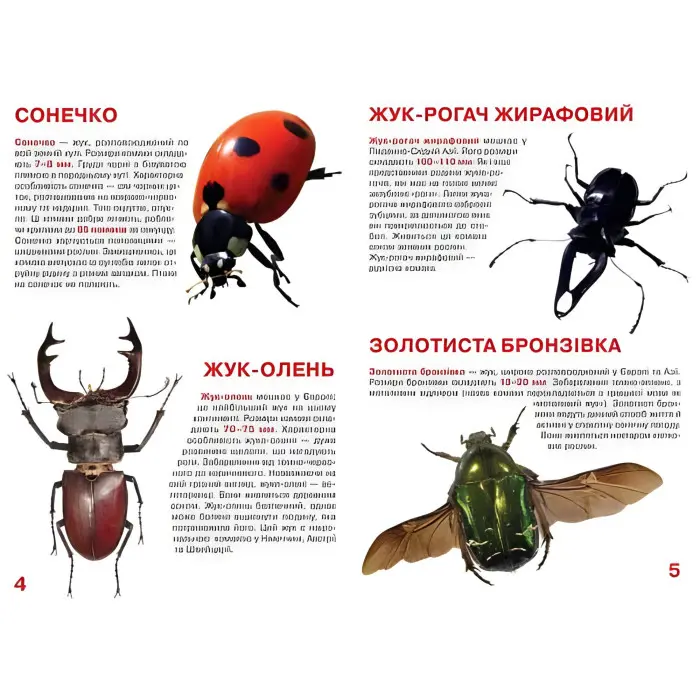 Велика книжка. Жуки