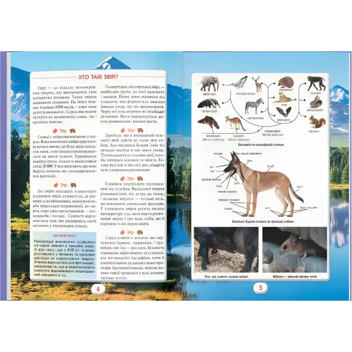 Ви маєте це знати. Світ звірів (9786175474693)