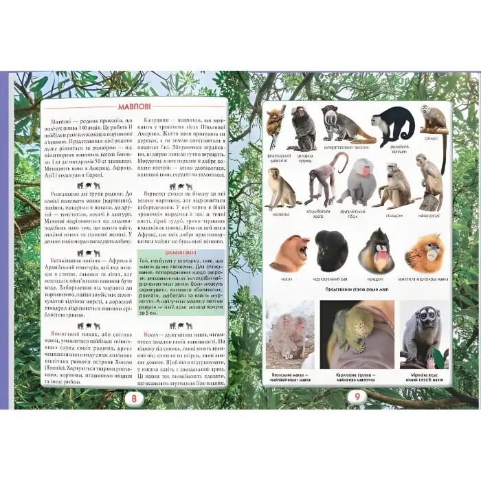 Ви маєте це знати. Світ звірів (9786175474693)