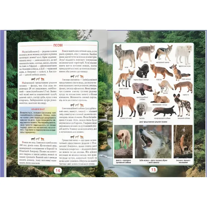 Ви маєте це знати. Світ звірів (9786175474693)