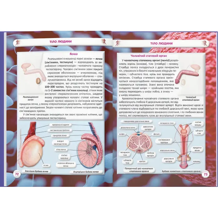 Ви маєте це знати. Техніка