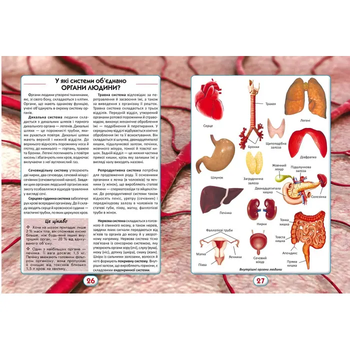 Ви маєте це знати. Усе про все
