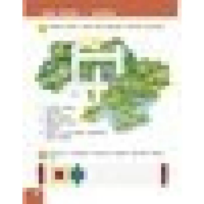 Я досліджую світ. Інтерактивний посібник. 1 клас. Частина 1