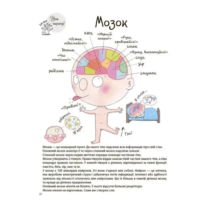 Як улаштоване моє тіло. Книжка для дітей (і дорослих) - Мішель Сімс (9786170042927)