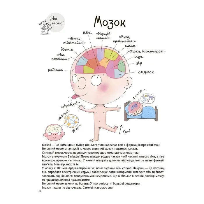 Як улаштоване моє тіло. Книжка для дітей (і дорослих) - Мішель Сімс (9786170042927)