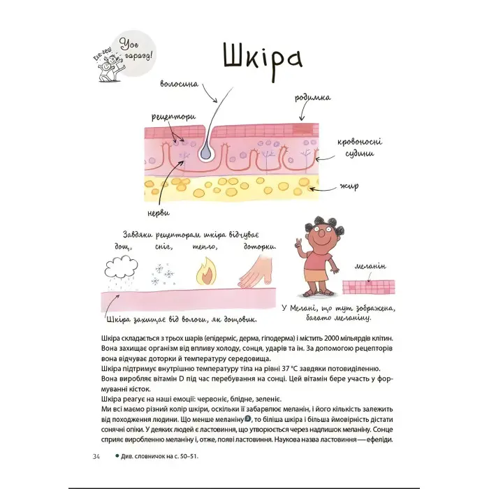 Як улаштоване моє тіло. Книжка для дітей (і дорослих) - Мішель Сімс (9786170042927)
