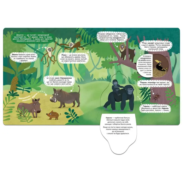 Загадкові джунглі та їхні мешканці