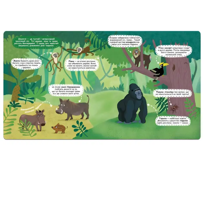 Загадкові джунглі та їхні мешканці