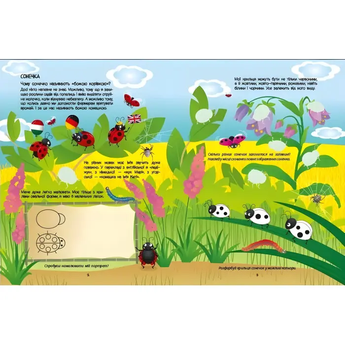 Зелена книжка про комашок. Пізнавальна книжка – Коваль Н. (Укр) АРТ (9786170975911)