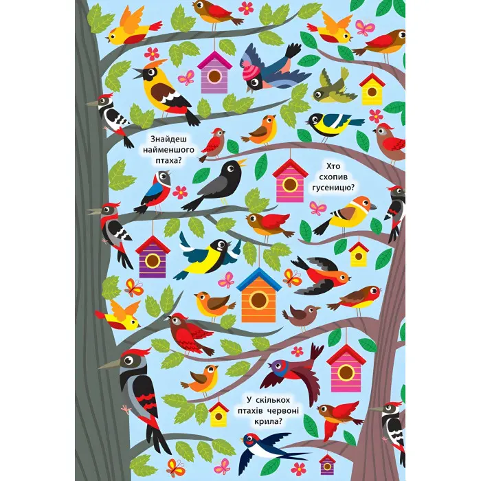 Знайди та покажи. Таємничий ліс