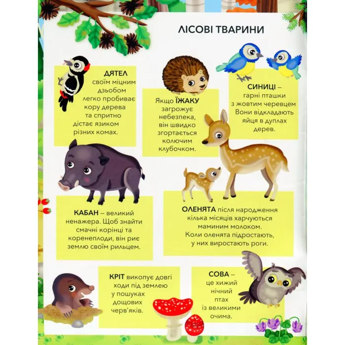 ЗВІРЯТА У ЛІСІ