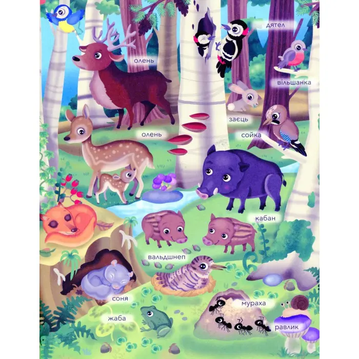 ЗВІРЯТА У ЛІСІ