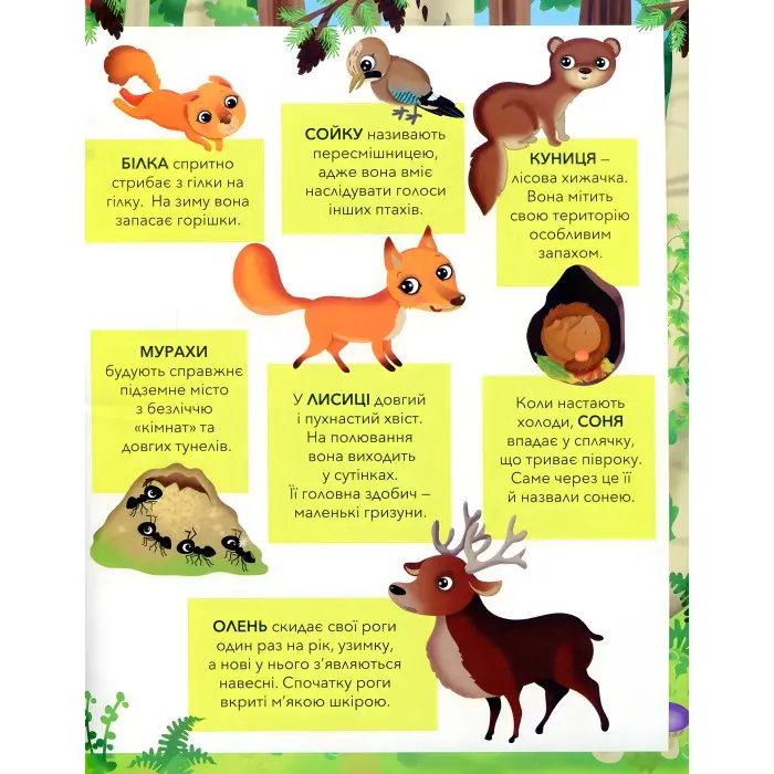 ЗВІРЯТА У ЛІСІ