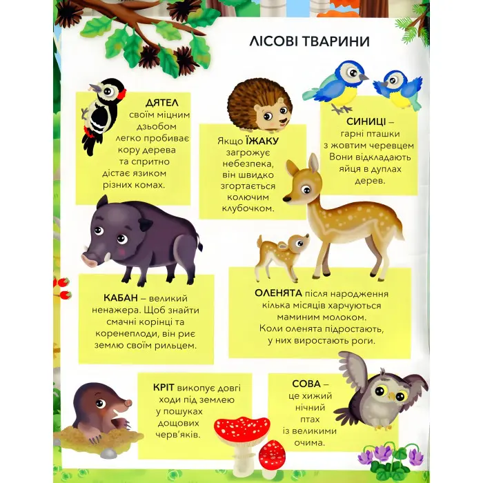 ЗВІРЯТА У ЛІСІ