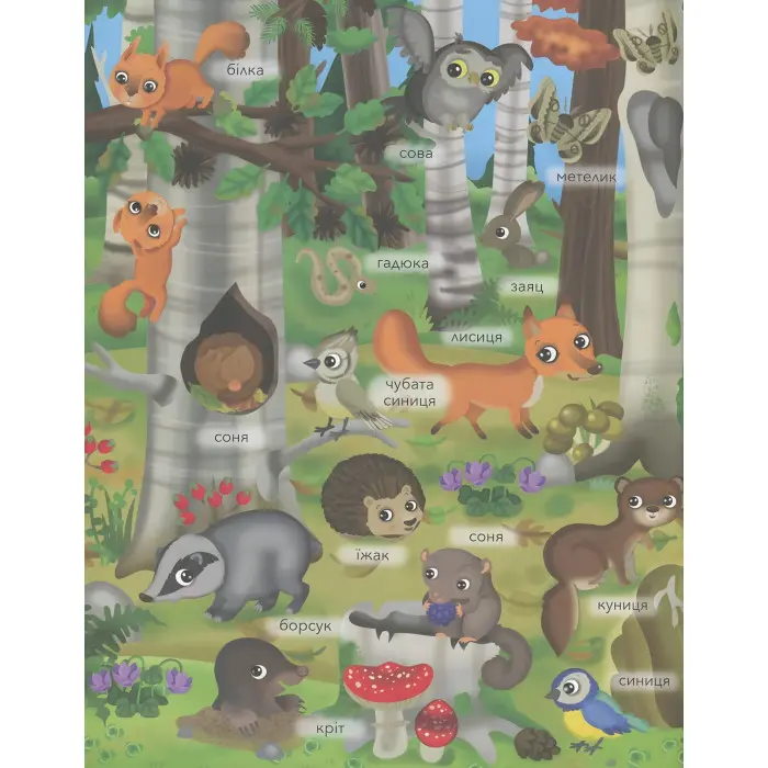 ЗВІРЯТА У ЛІСІ