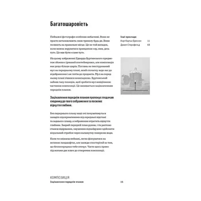 Як знімати неймовірні фотографії. Генрі Керол