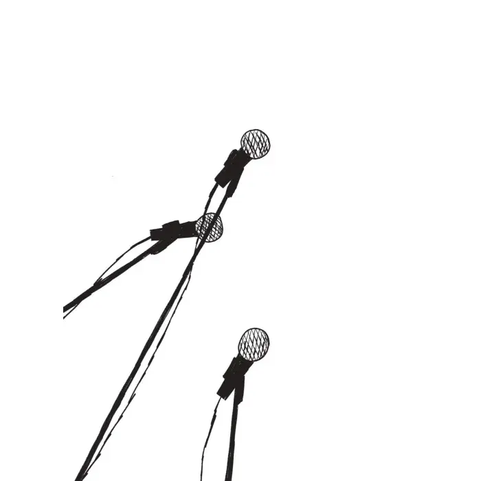 Вернон Господь Літтл