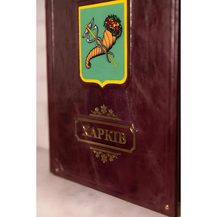 Харків Фотоальбом VIP видання