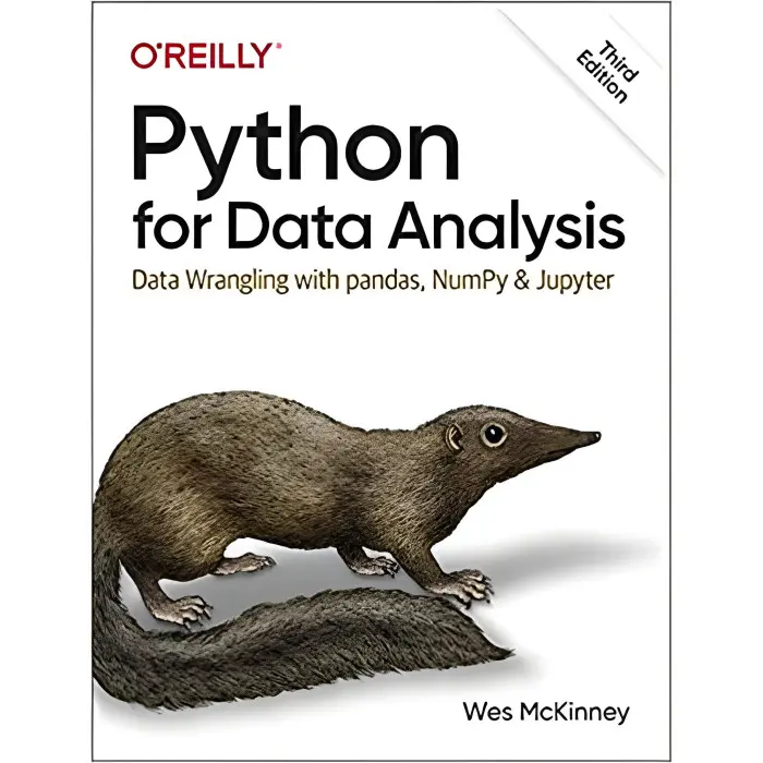 Python for Data Analysis: Data Wrangling with pandas, NumPy, and Jupyter 3rd Edition Wes McKinney