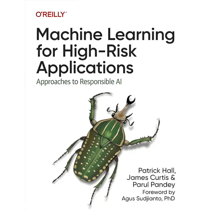 Machine Learning for High-Risk Applications: Approaches to Responsible AI 1st Edition. Patrick Hall, James Cur