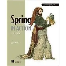 Spring in Action, 5th edition. Craig Walls.
