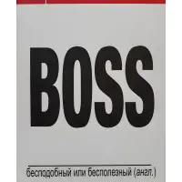 Boss незрівнянний чи марний. Реймонд Іммельман