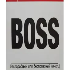 Boss незрівнянний чи марний. Реймонд Іммельман