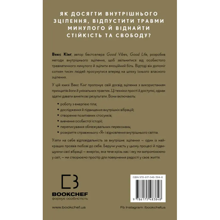 Healing Is the New High. Посібник із подолання емоційних потрясінь і здобуття свободи. Векс Кінґ