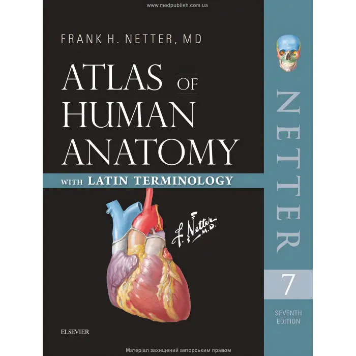 Атлас анатомії людини з латинською термінологією: 7-е видання. Френк Г. Неттер
