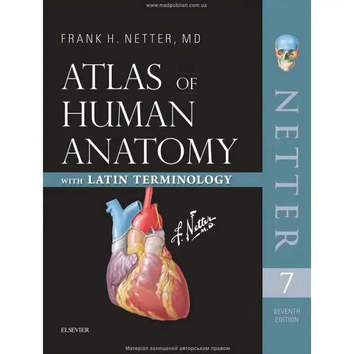Атлас анатомії людини з латинською термінологією: 7-е видання. Френк Г. Неттер