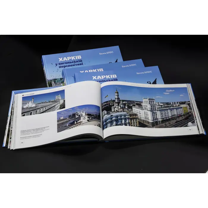 Харків у янгольскій перспективі. Василь Білоус