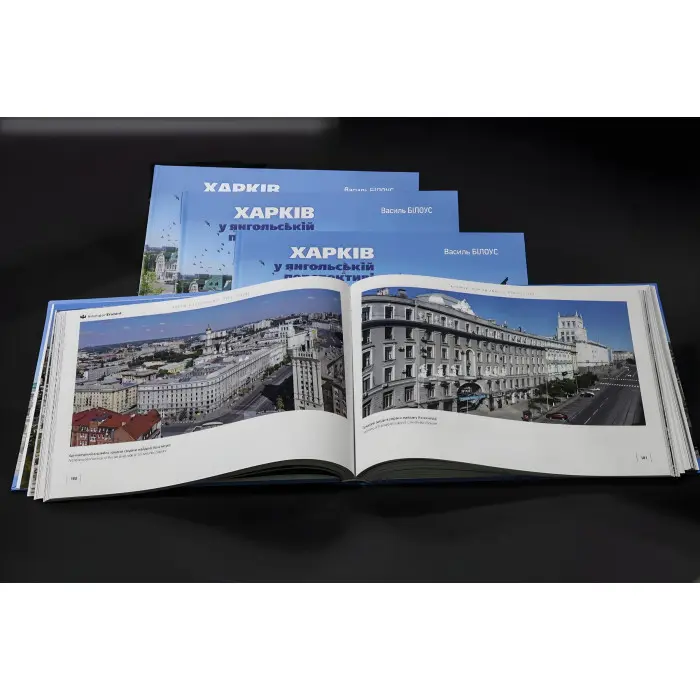 Харків у янгольскій перспективі. Василь Білоус