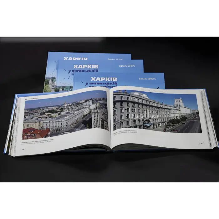 Харків у янгольскій перспективі. Василь Білоус