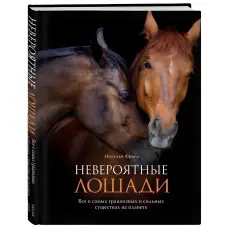 Неймовірні коні. Все про найграціозніші і найсильніші істоти на планеті. Наталія Франк