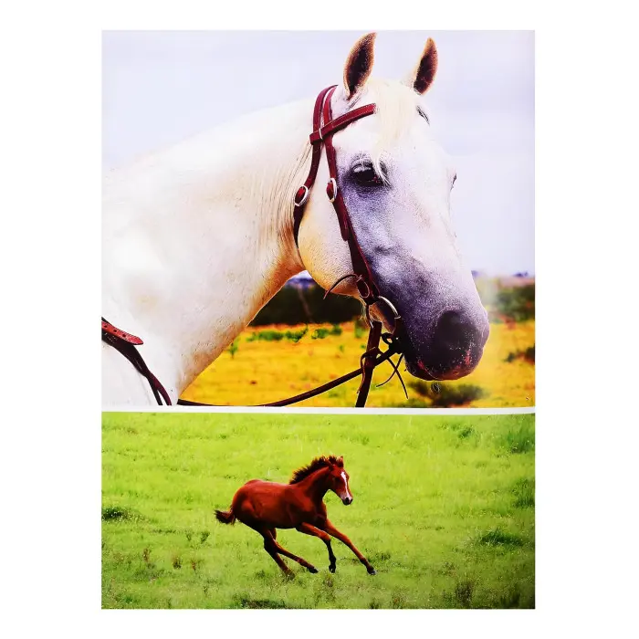 Неймовірні коні. Все про найграціозніші і найсильніші істоти на планеті. Наталія Франк