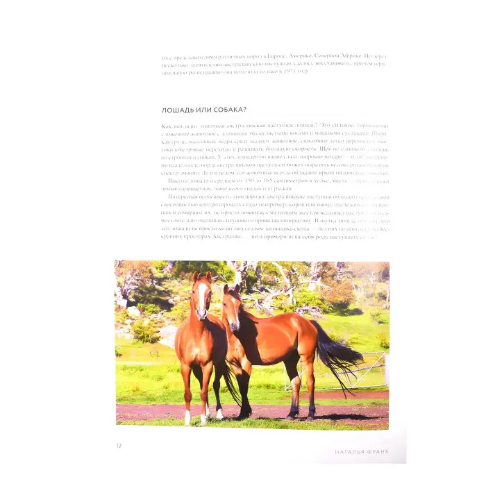 Неймовірні коні. Все про найграціозніші і найсильніші істоти на планеті. Наталія Франк