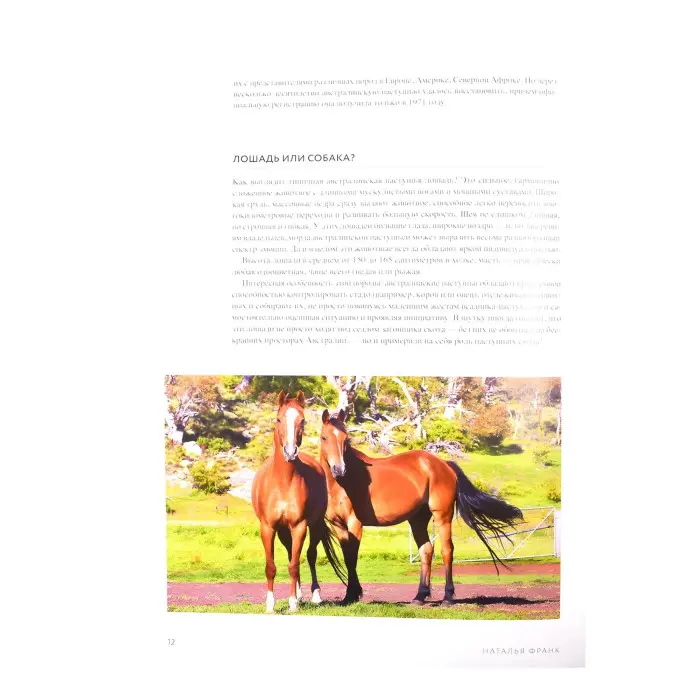 Неймовірні коні. Все про найграціозніші і найсильніші істоти на планеті. Наталія Франк
