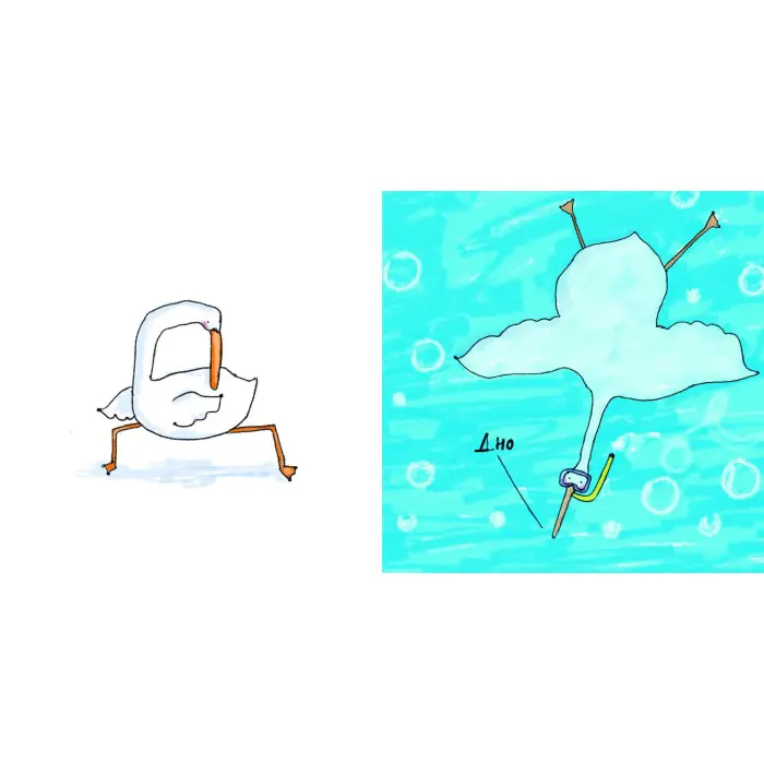 Гусь від А до Я