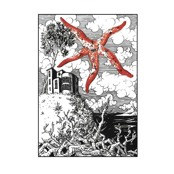 Каміння і цвяхи