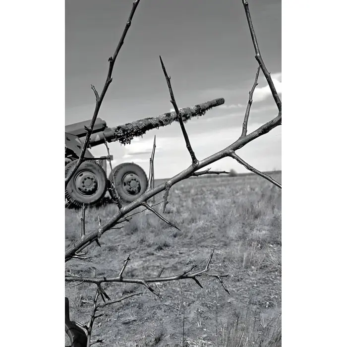 Три медалі в шухляді