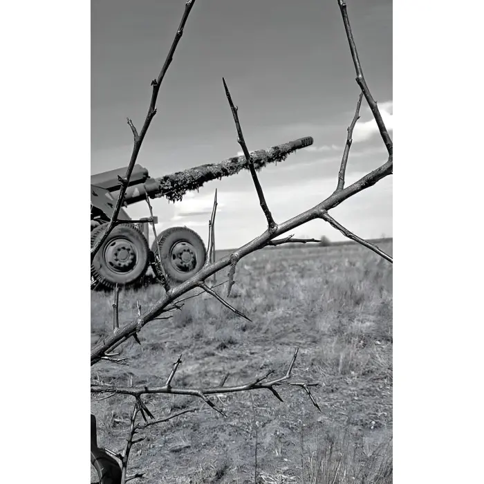 Три медалі в шухляді