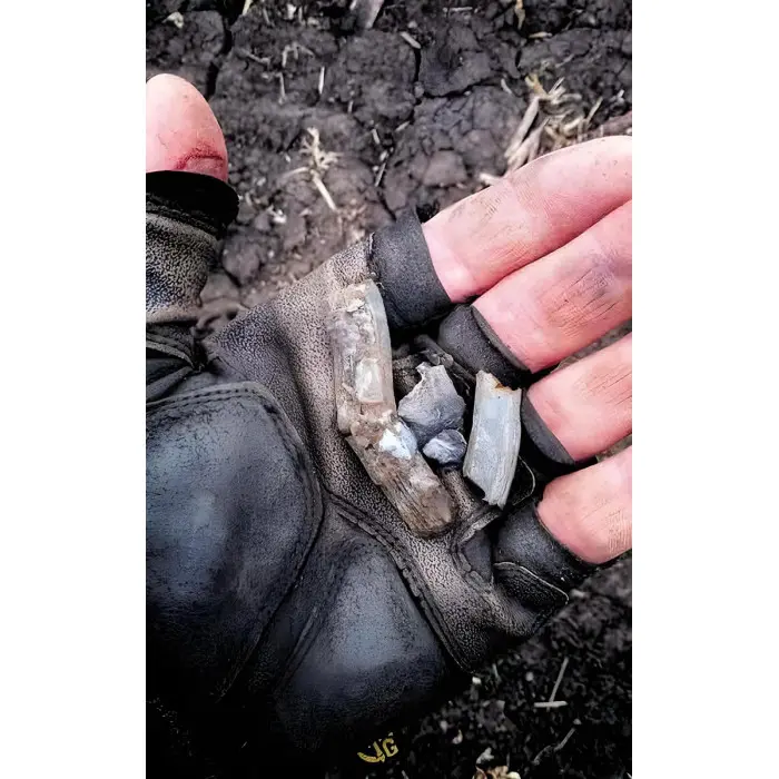 Три медалі в шухляді